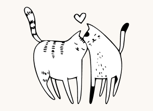 Two cats together